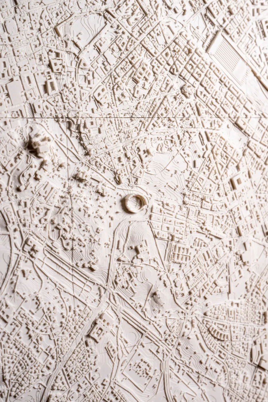 Dettaglio dei rilievi stampati in 3D
